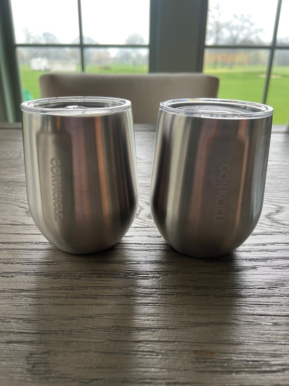 Corkcicle Silver Insulated Stemless Wine Tumblers (Set of 2)